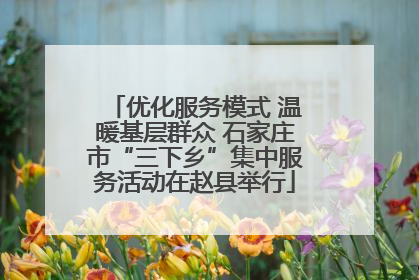优化服务模式 温暖基层群众 石家庄市“三下乡”集中服务活动在赵县举行
